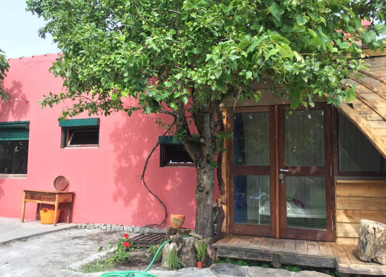Maceda Surf Camp Exterior foto